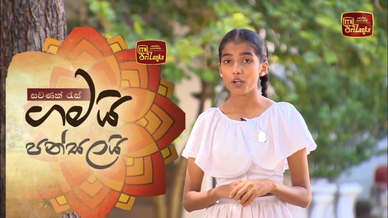 ගමයි පන්සලයි ITN Sri Lanka | මයුරපාද පිරිවෙන ජයන්ති දහම් පාසල